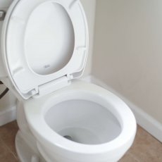 C BASIN