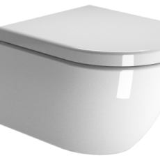D BASIN